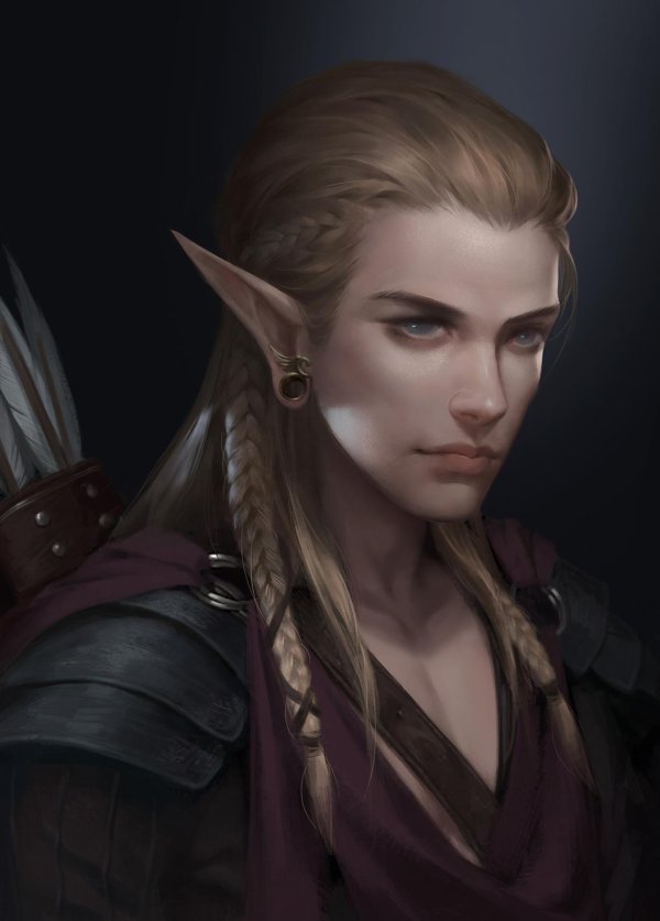 Эльфы мужчины