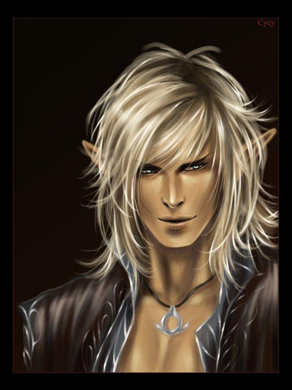 Эльфы мужчины