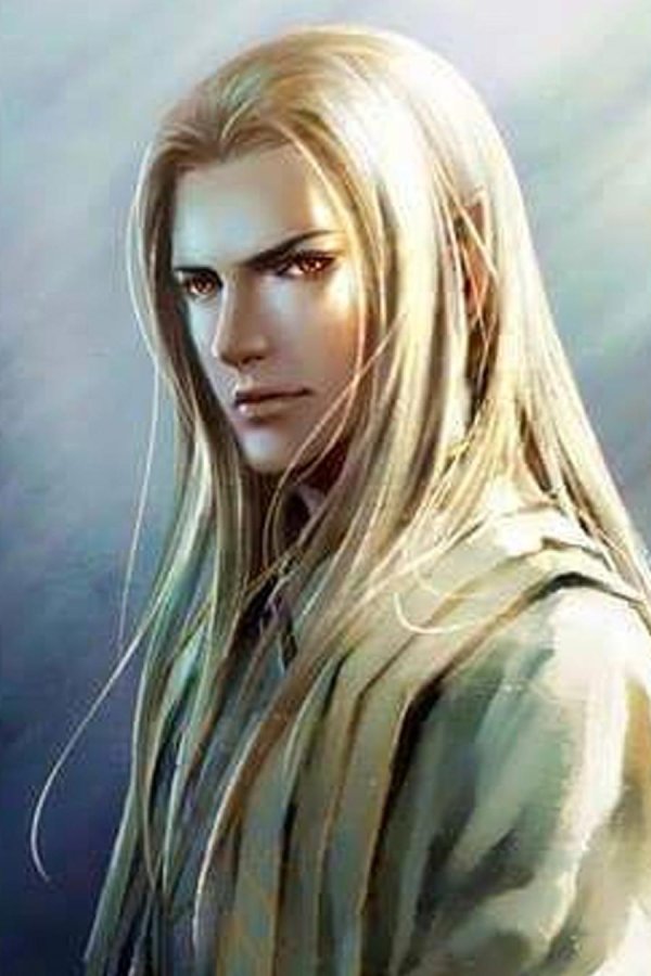 Эльфы мужчины