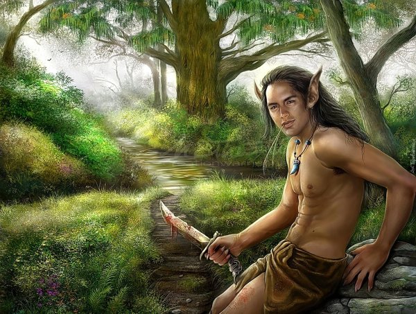 Эльфы мужчины