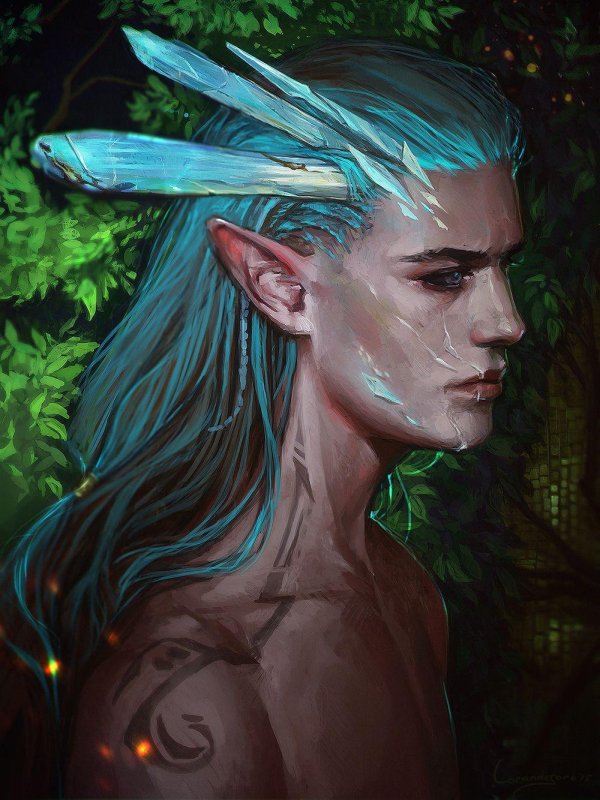 Эльфы мужчины