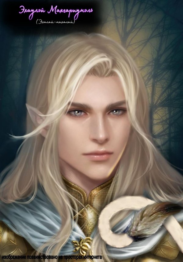 Эльфы мужчины