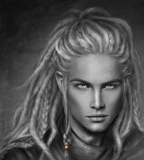 Эльфы мужчины