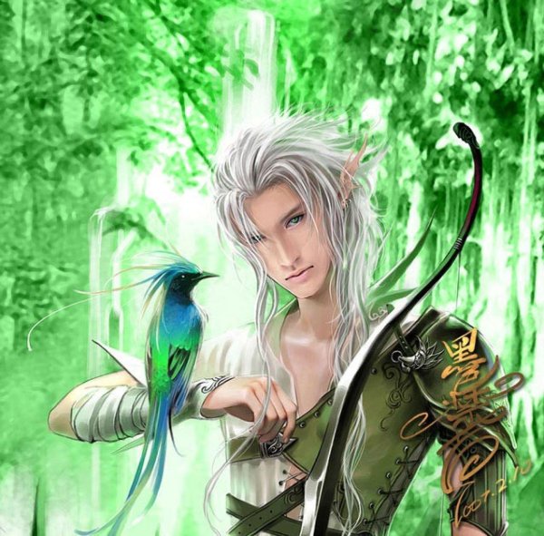 Эльфы мужчины