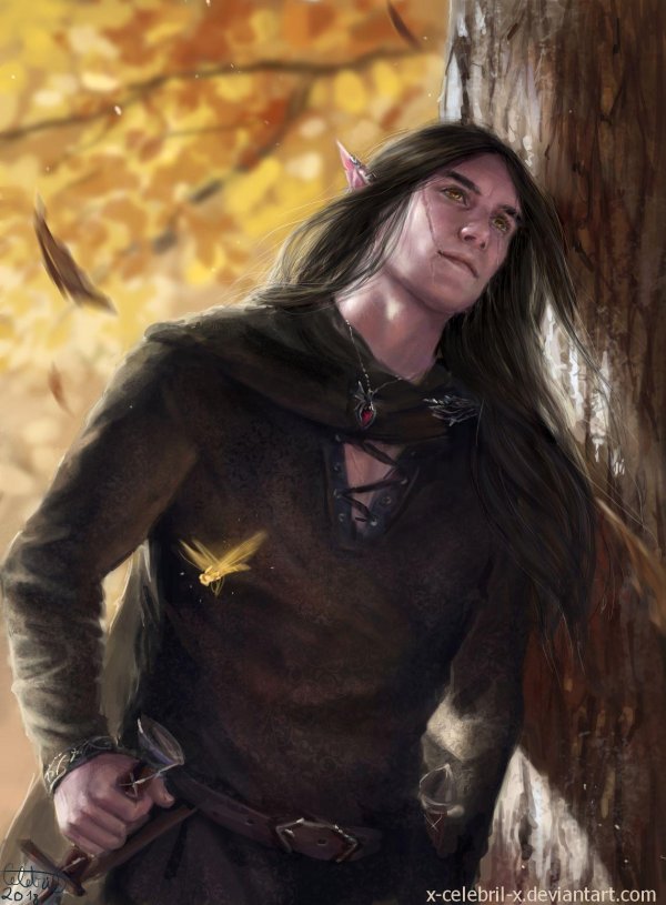 Эльфы мужчины