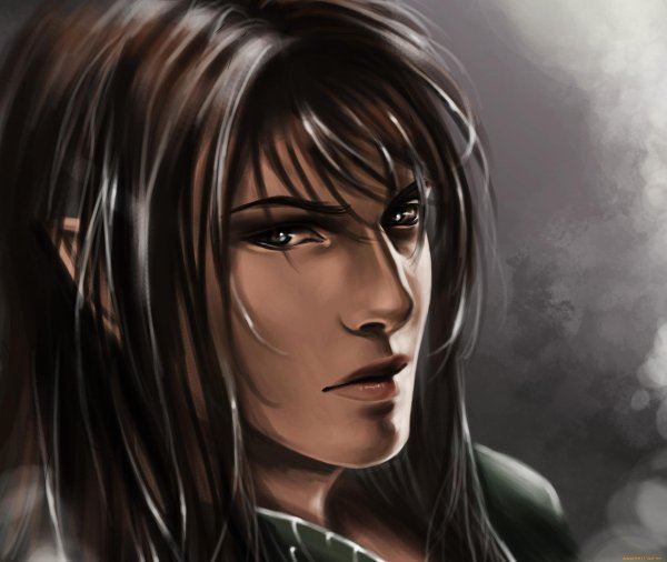 Эльфы мужчины