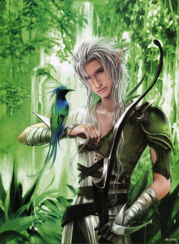 Эльфы мужчины