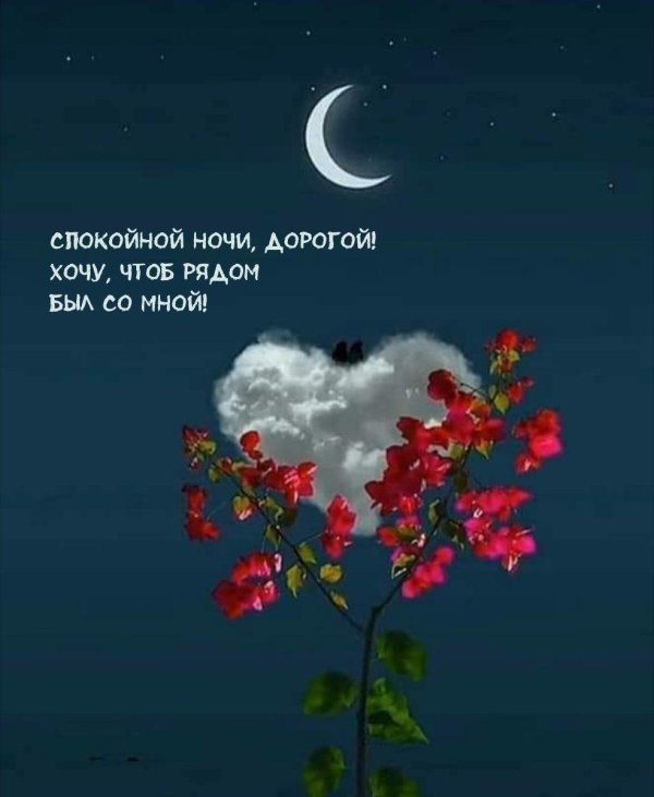 На ночь для мужчины