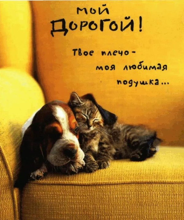 Для мужчины просто