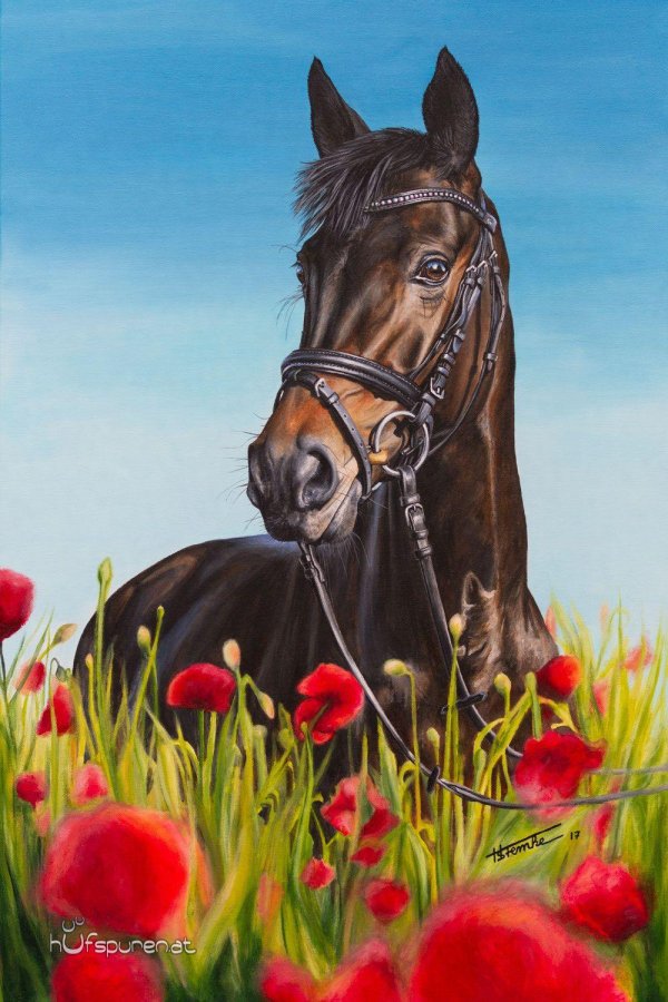 рисунки лошадей