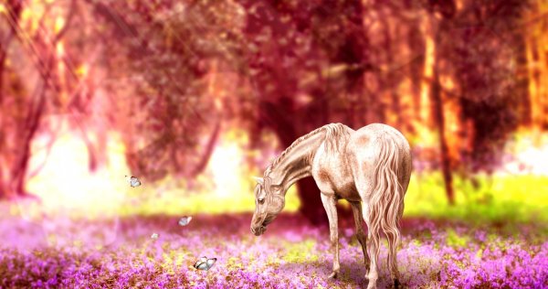 розовый конь картина