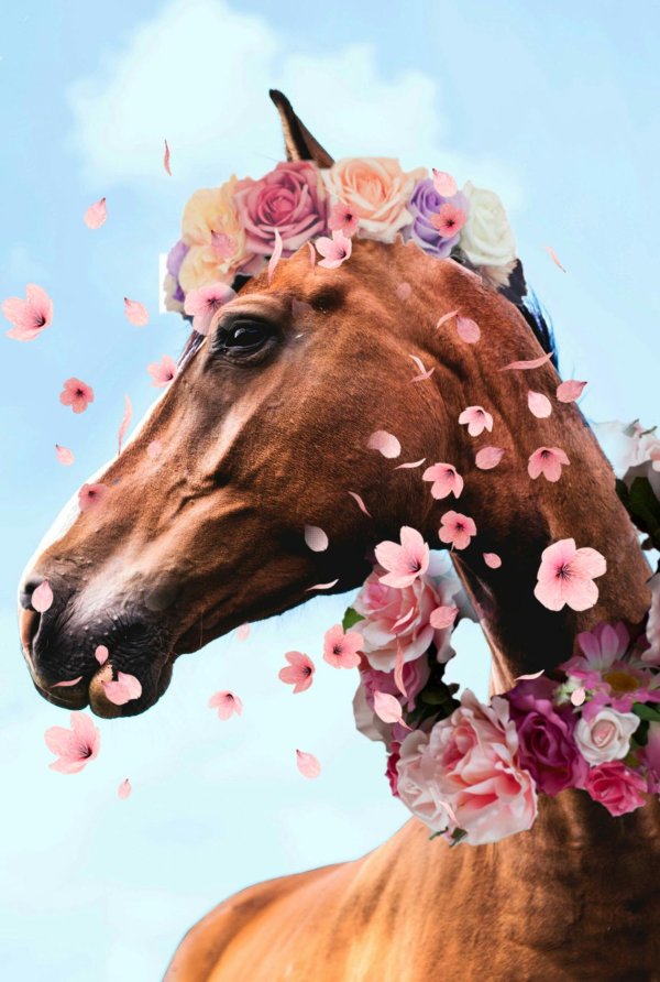 лошадки в цветах