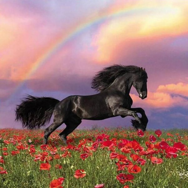 красивые кони