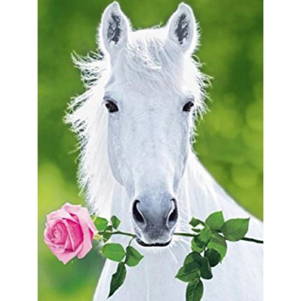 белые лошади