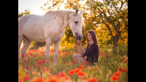 девушка с лошадью