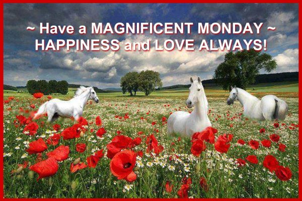 кони на лугу