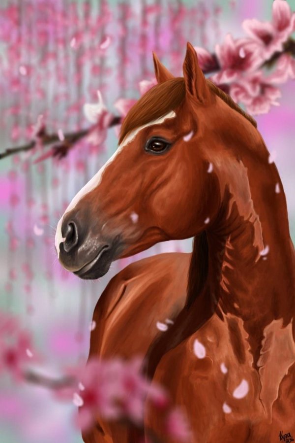 красивые рисунки лошадей