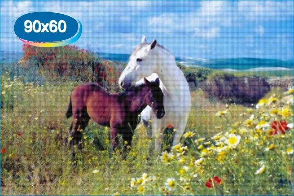 картины лошадей
