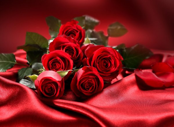 Букет роз для мужчины на день рождения