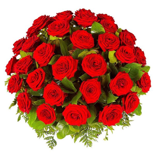 Букет роз для мужчины на день рождения