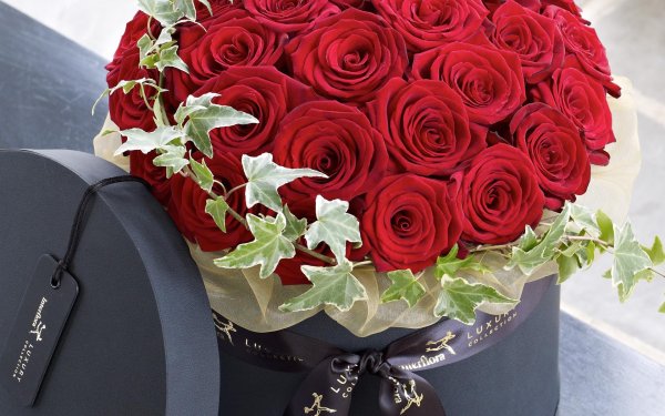 Букет роз для мужчины на день рождения