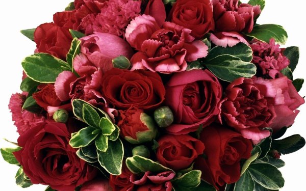 Букет роз для мужчины на день рождения