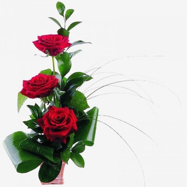 Букет роз для мужчины на день рождения