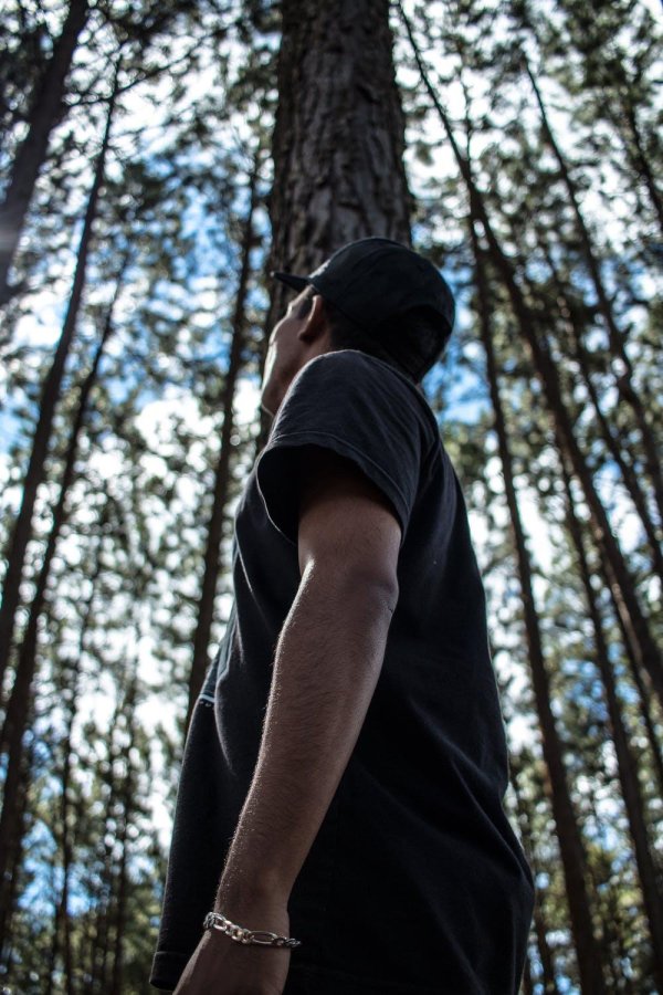 Мужчины со спины