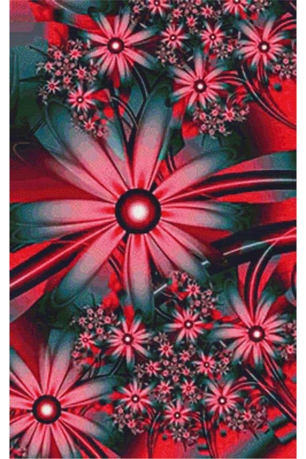 красочные цветы