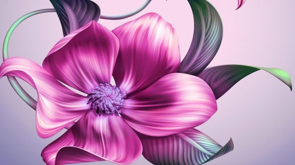 цветок красивый рисунок