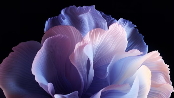 цветочные картины