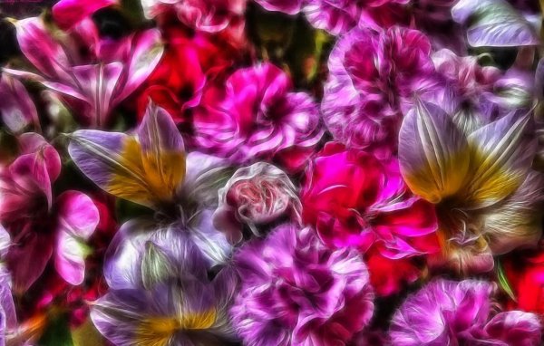 цветок разноцветный