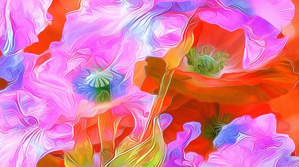 яркие цветы