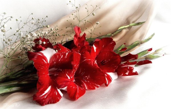 Букеты цветов для мужчины