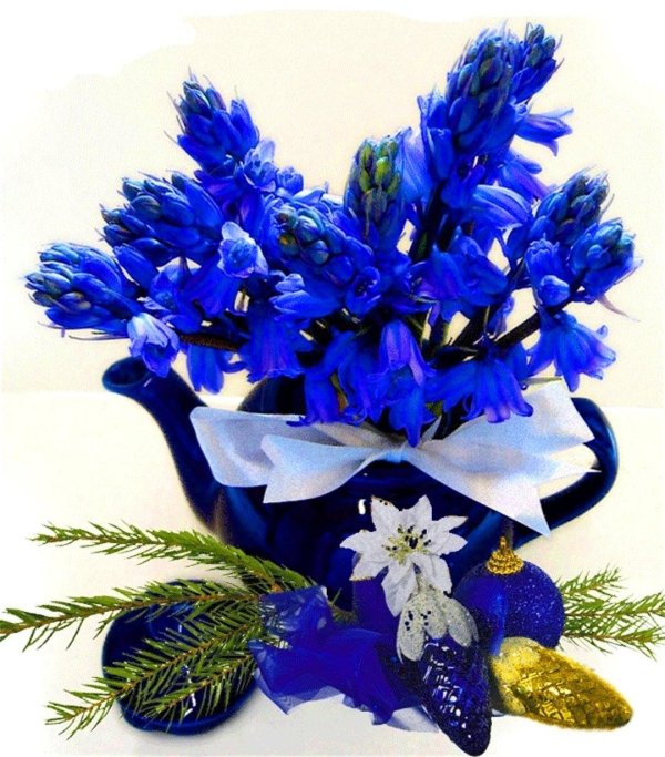 Букеты цветов для мужчины