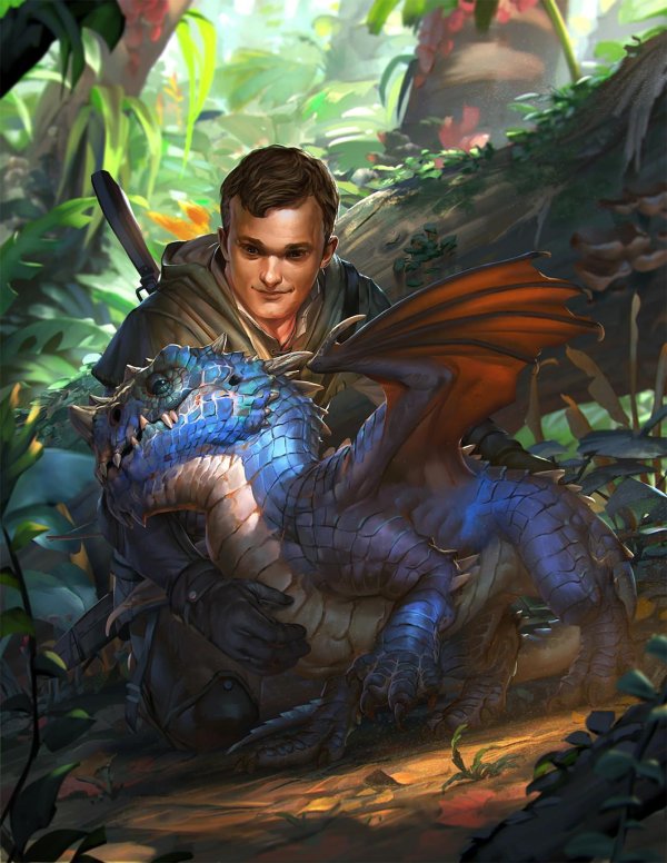 Мужчины драконы