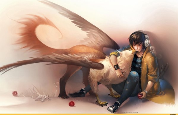 Мужчины драконы