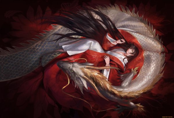 Мужчины драконы