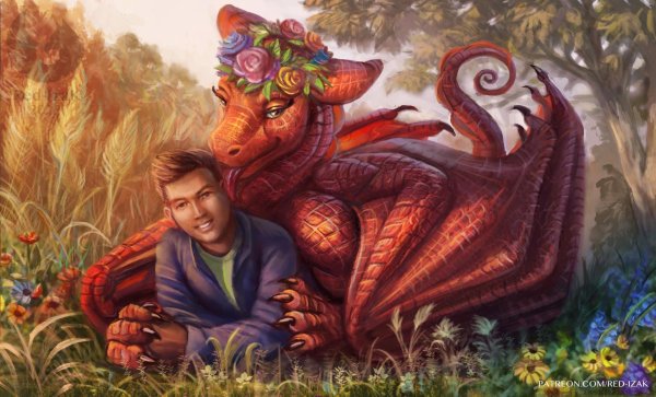 Мужчины драконы