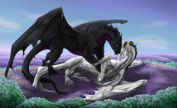 Мужчины драконы