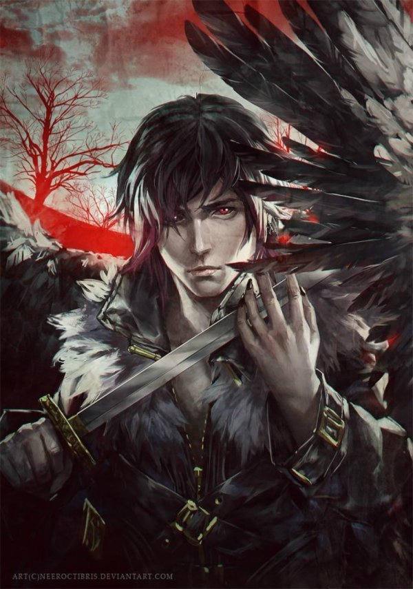 Воины мужчины