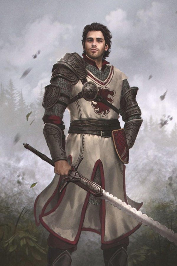 Воины мужчины