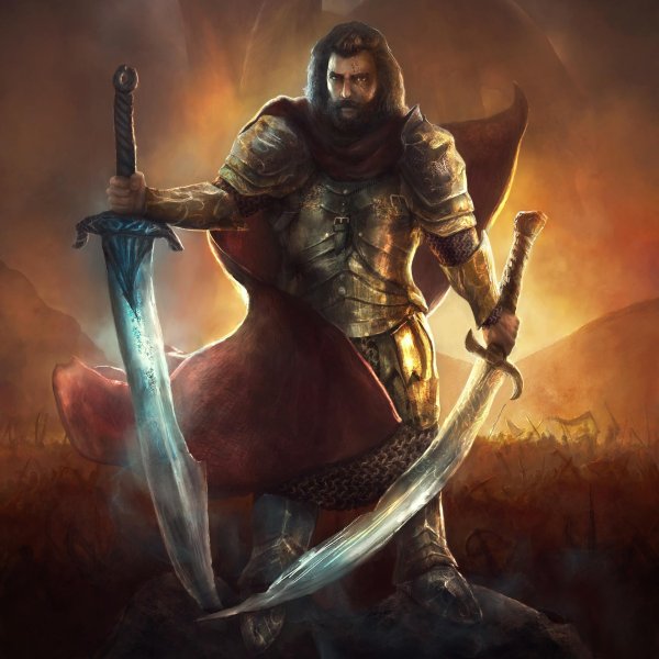 Воины мужчины