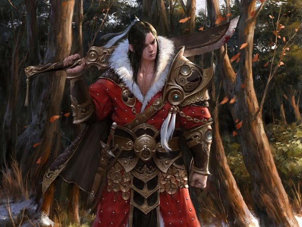 Воины мужчины