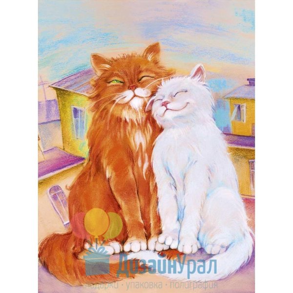 Кошечка для мужчины