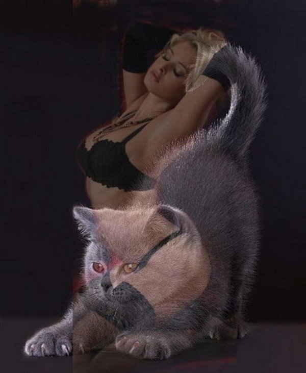 Кошечка для мужчины