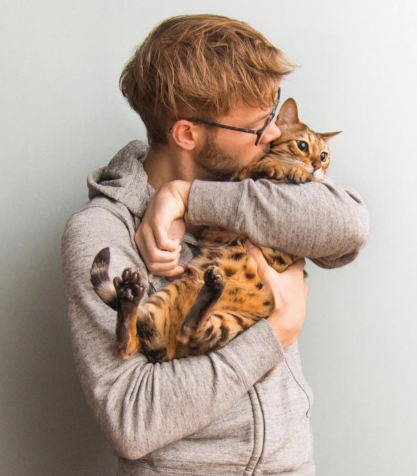 Кошечка для мужчины