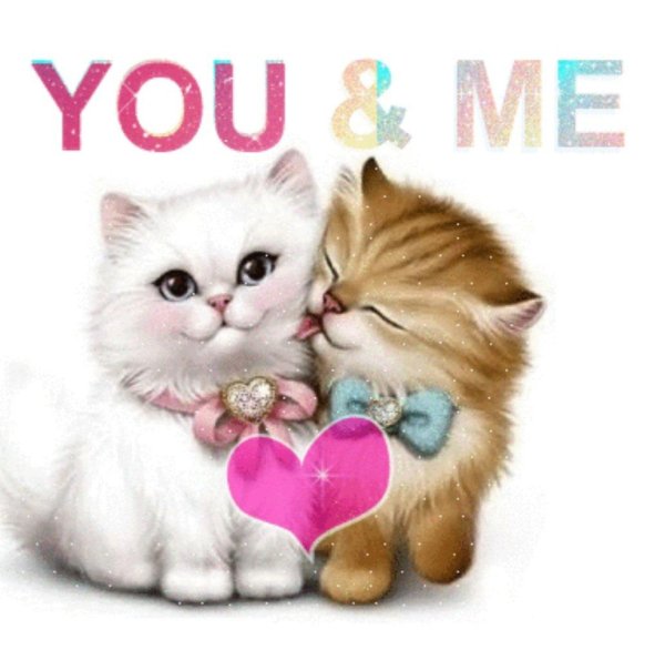 Кошечка для мужчины