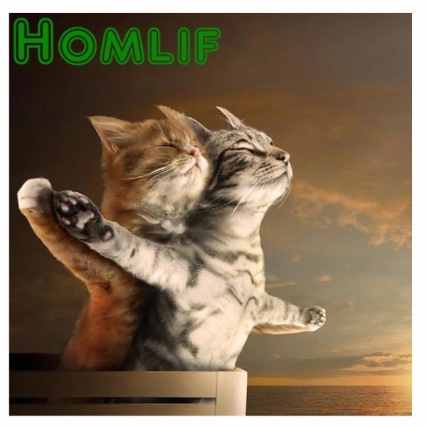 Кошечка для мужчины