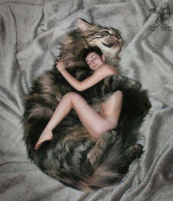 Кошечка для мужчины